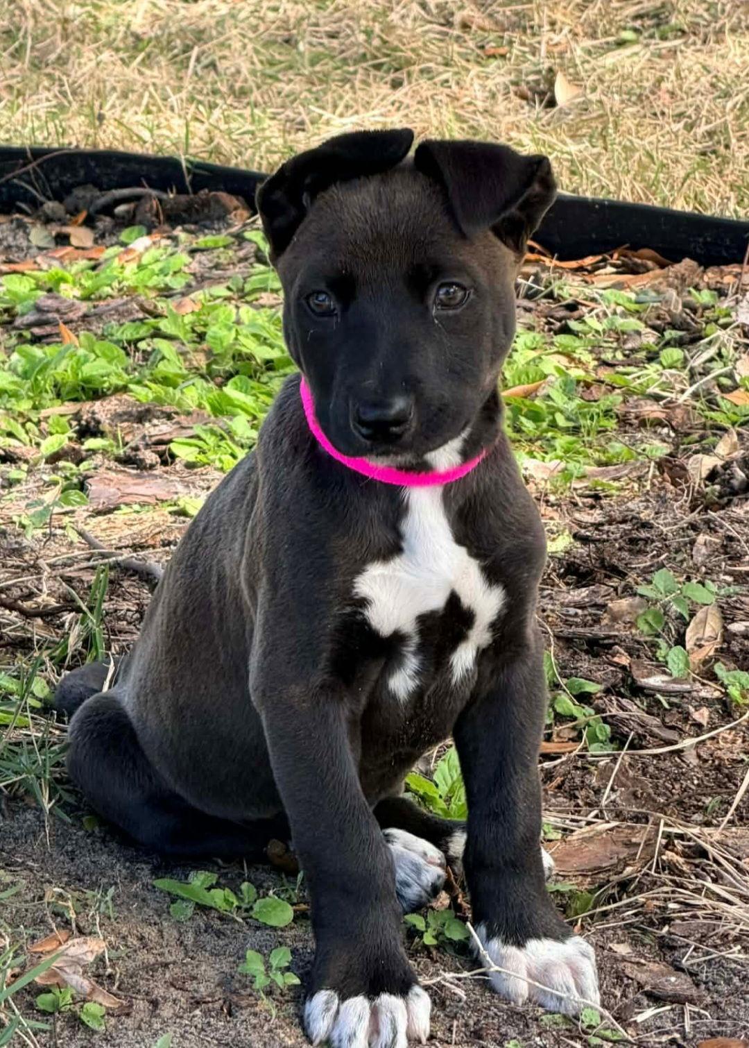 Cindy Lou Who photo 1