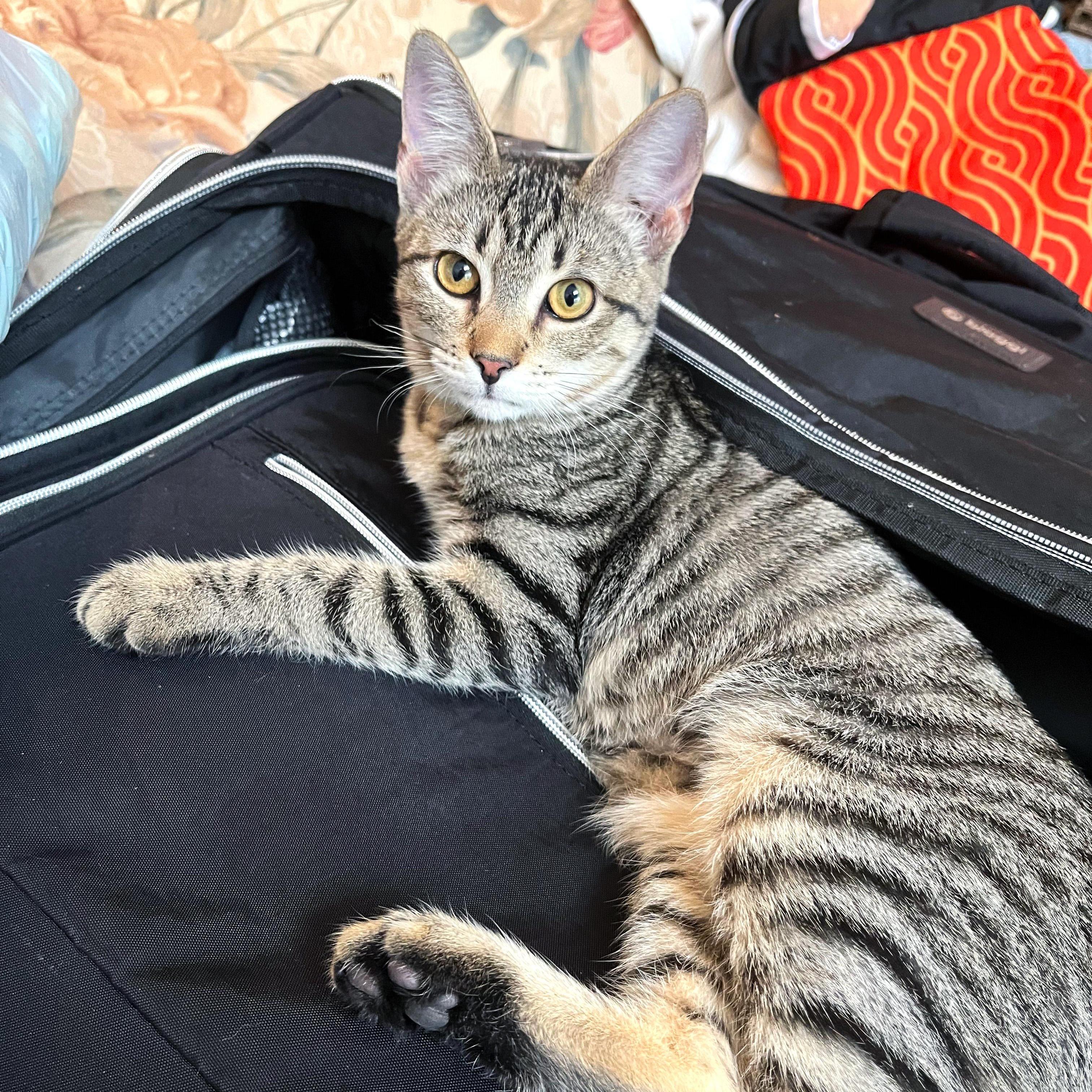 Corn Pudding photo 1