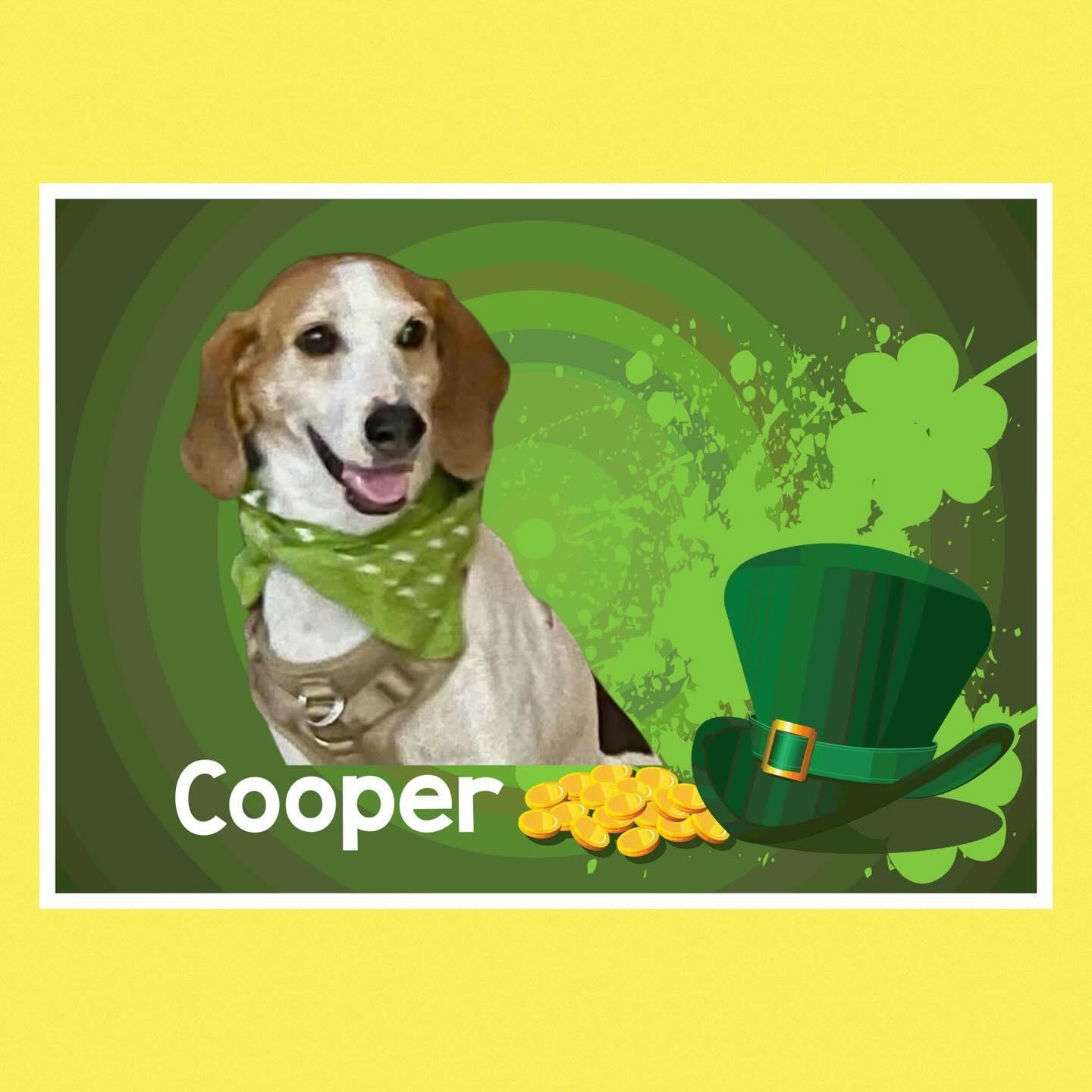 Cooper