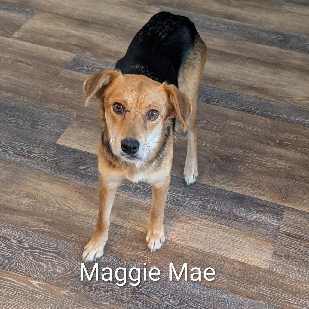 Maggie Mae