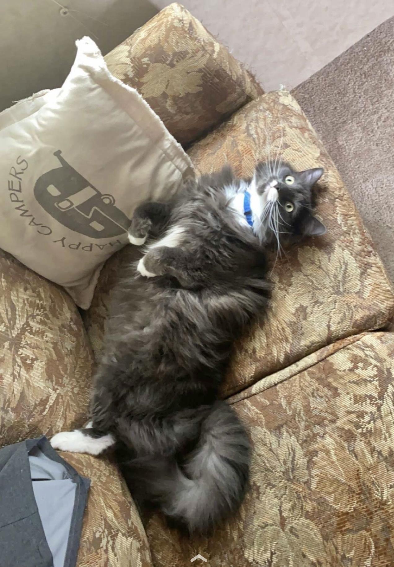 Bootssupplies Included