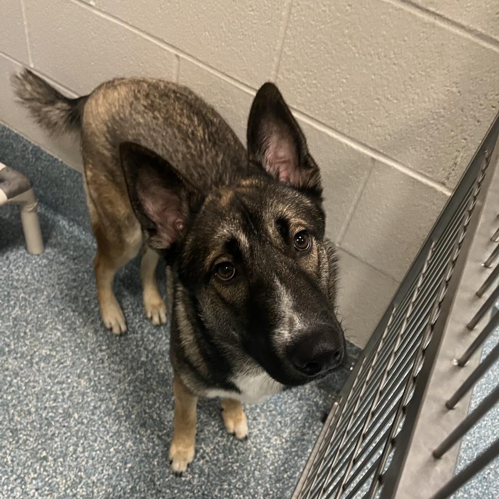 Dunkin Donuts photo 1