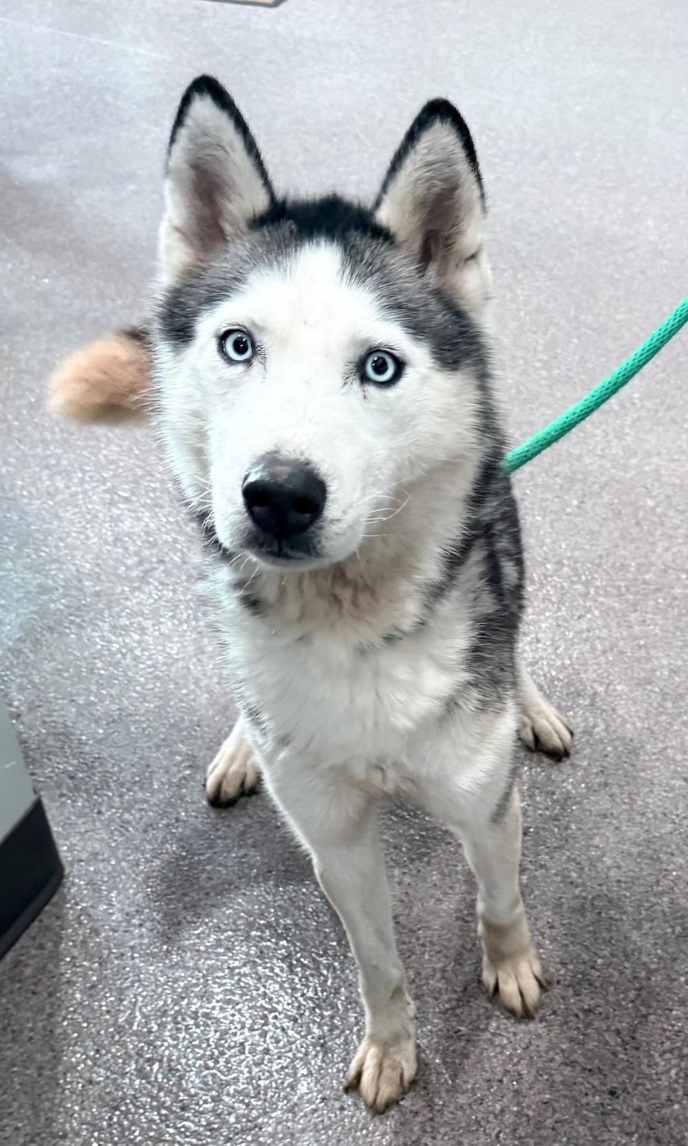 Mona Currently Enrolled In