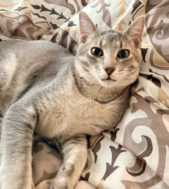 Johnny No Longer Accepting