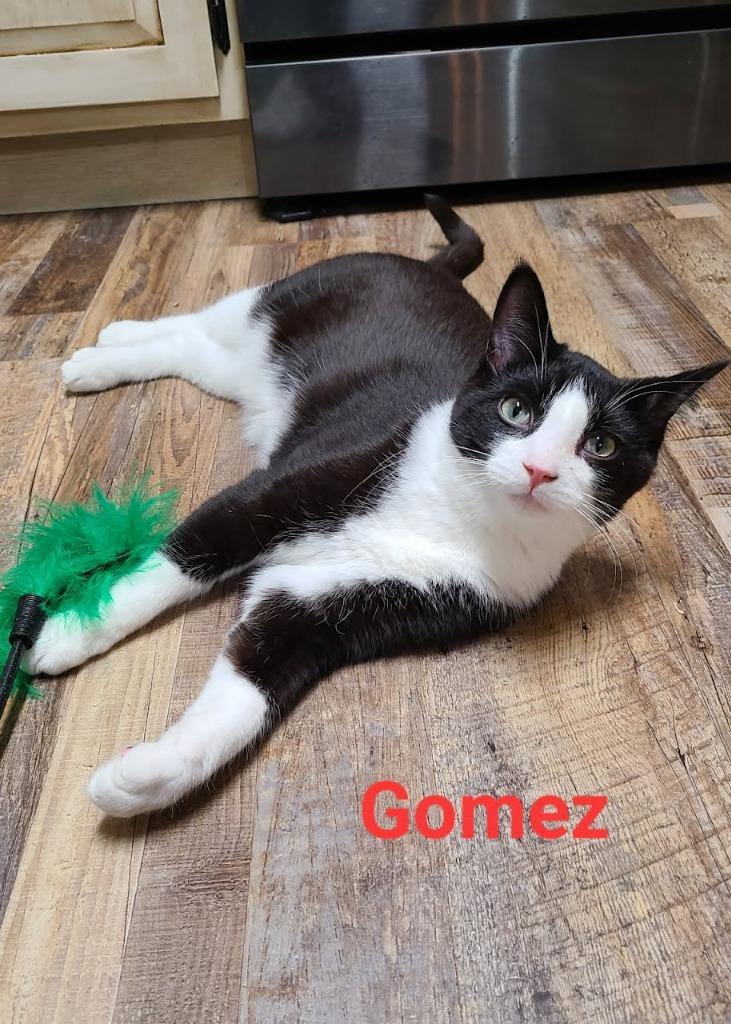 Gomez