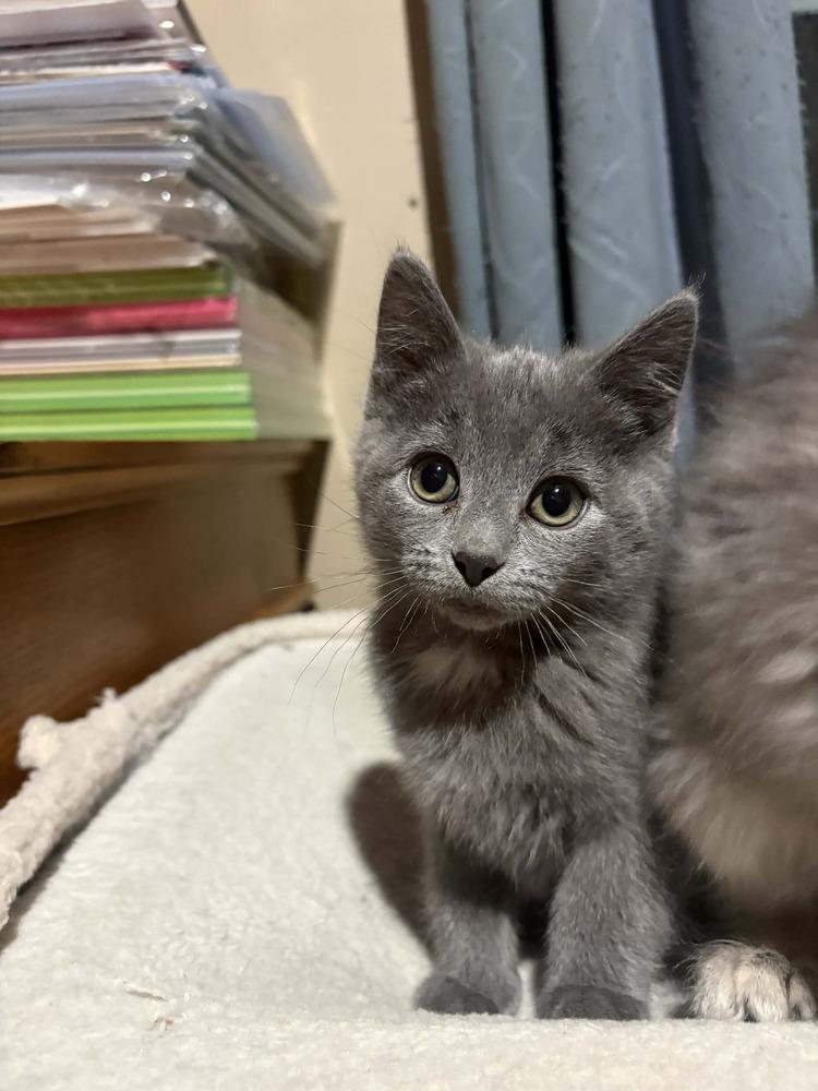 Izzie" No Longer Accepting