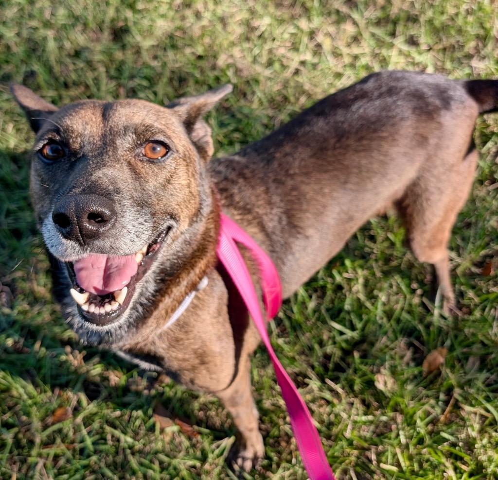 Lady Lbsfee Sponsored!