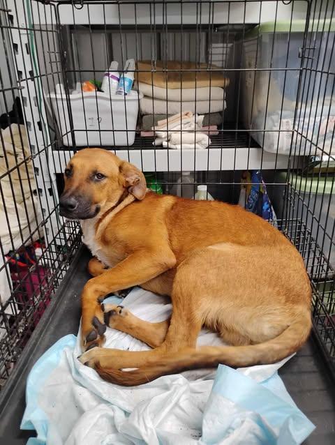 Robert Redfur photo 1