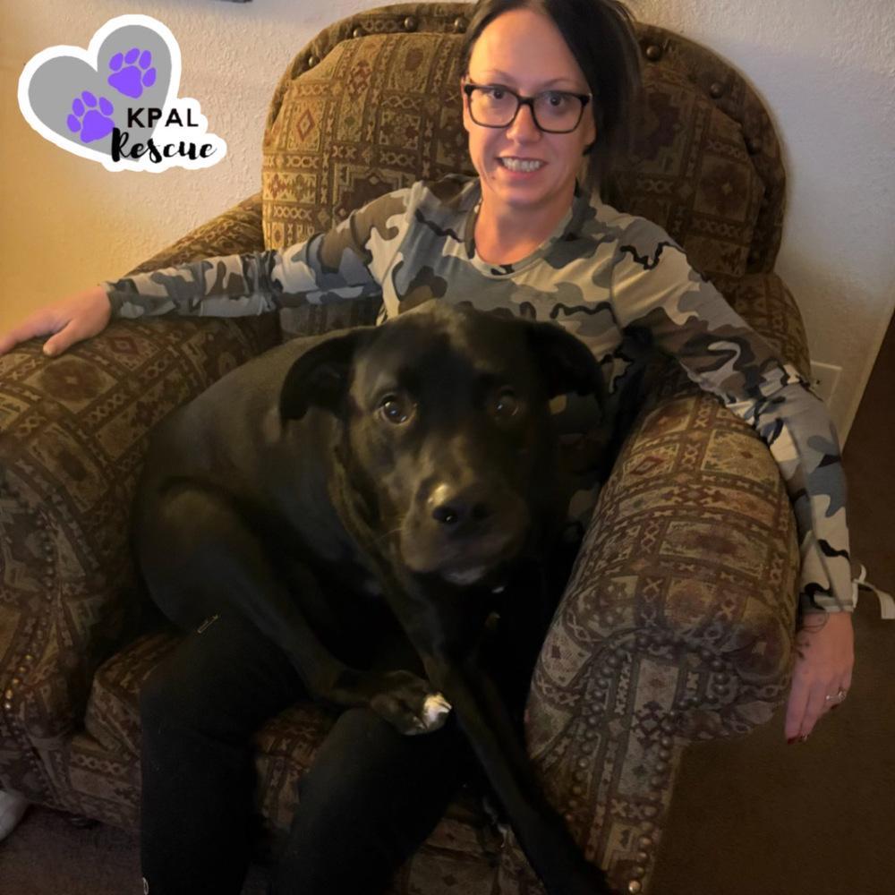 Jameson Irish Drinks