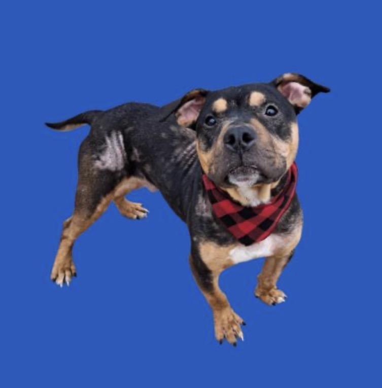 Farley Urgent! photo 1