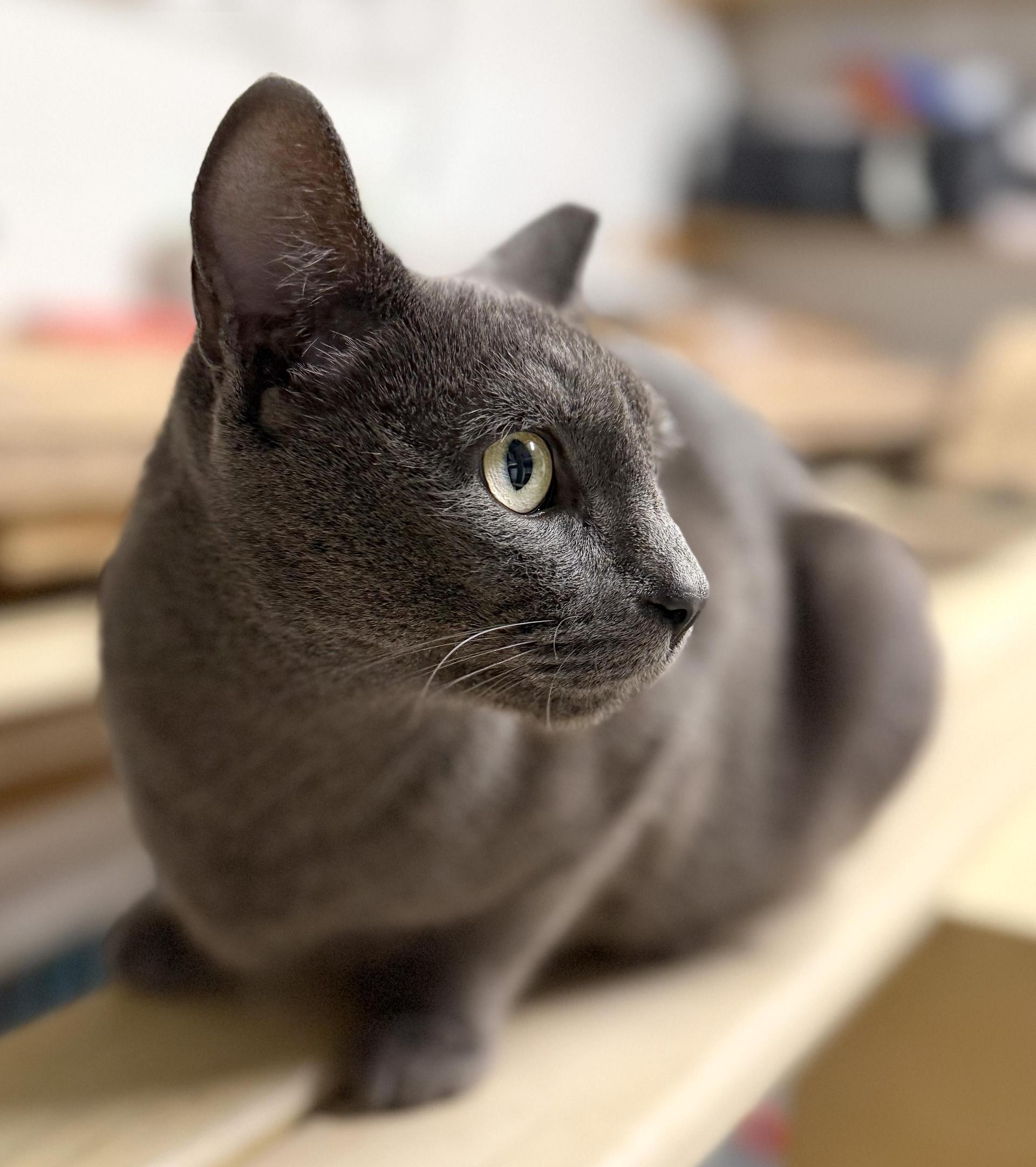 Sapphire
