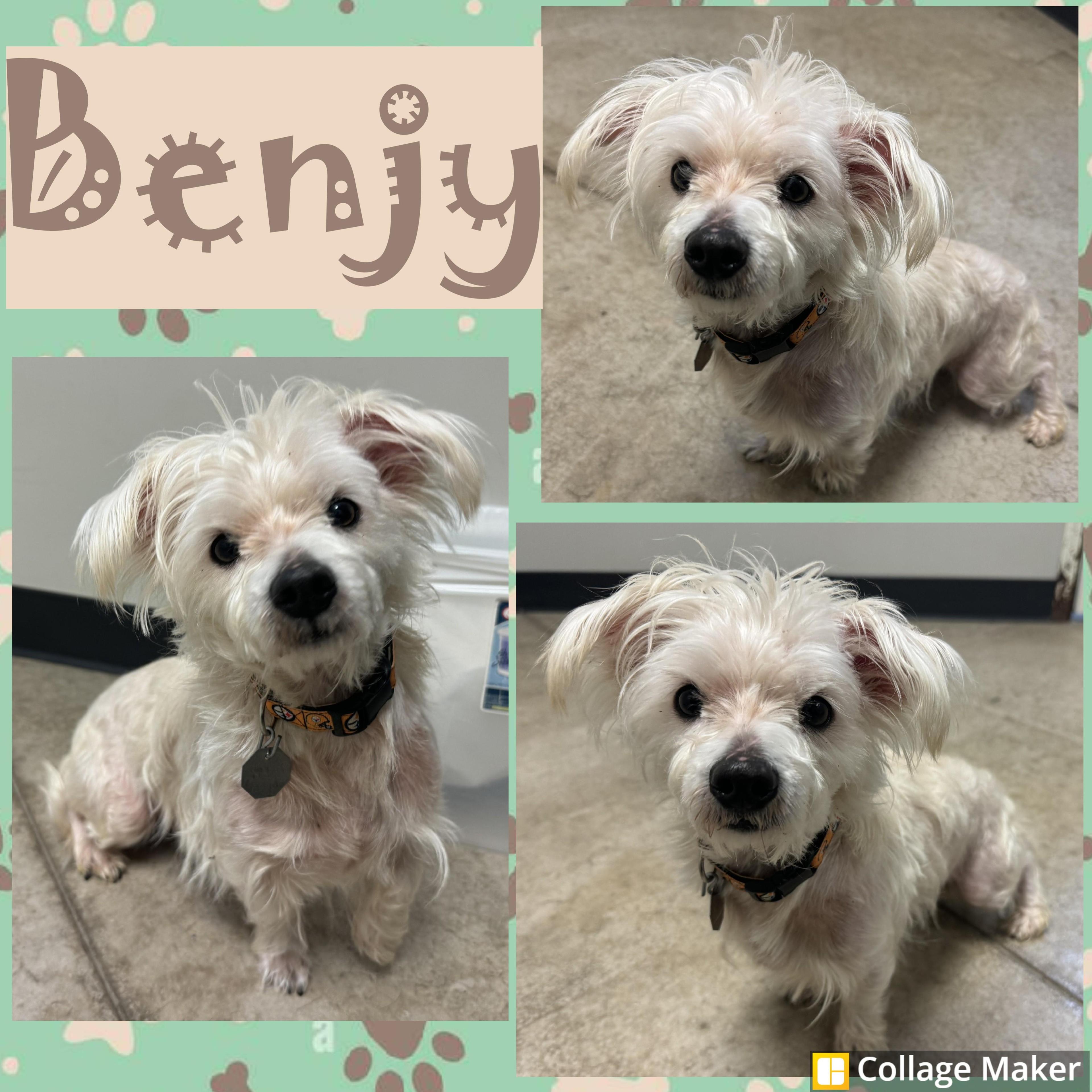 Benjy