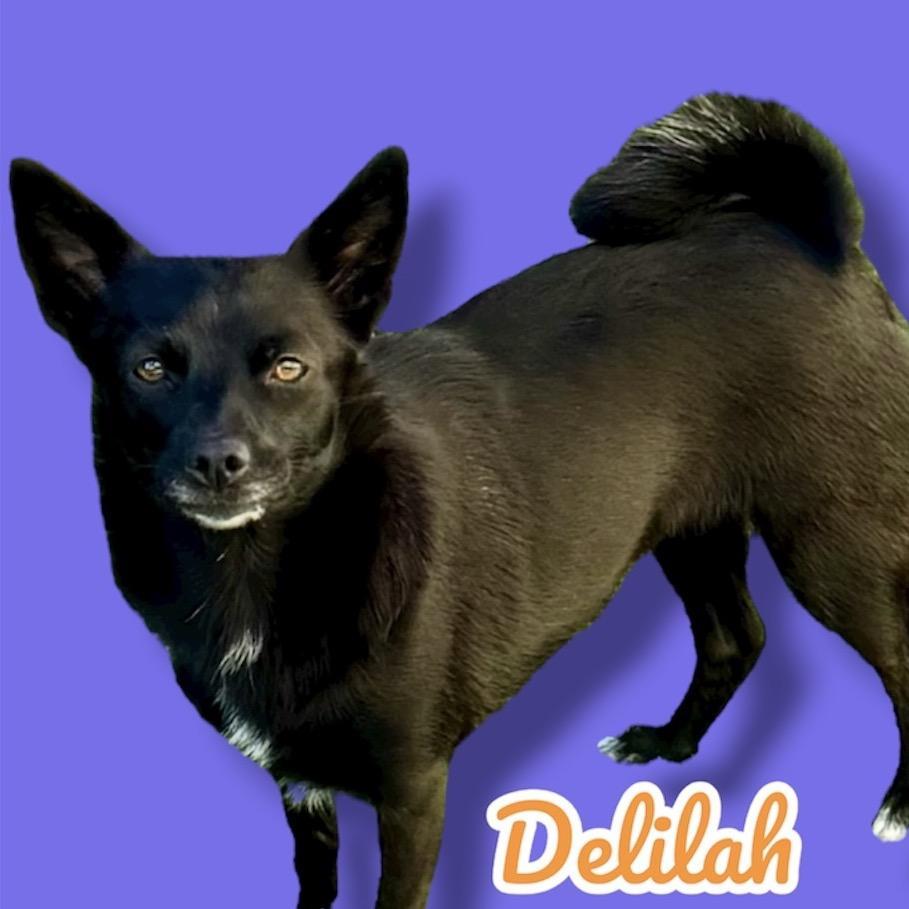 Delilah