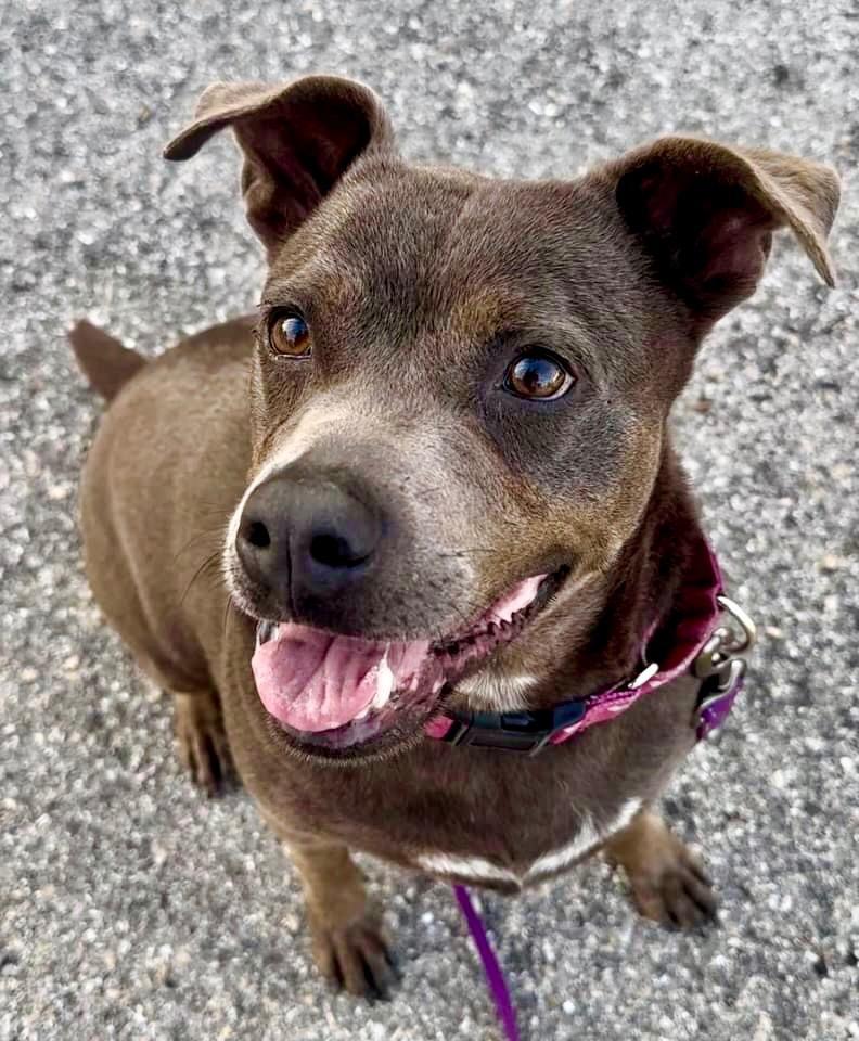 Sandrafee Fully Sponsored!