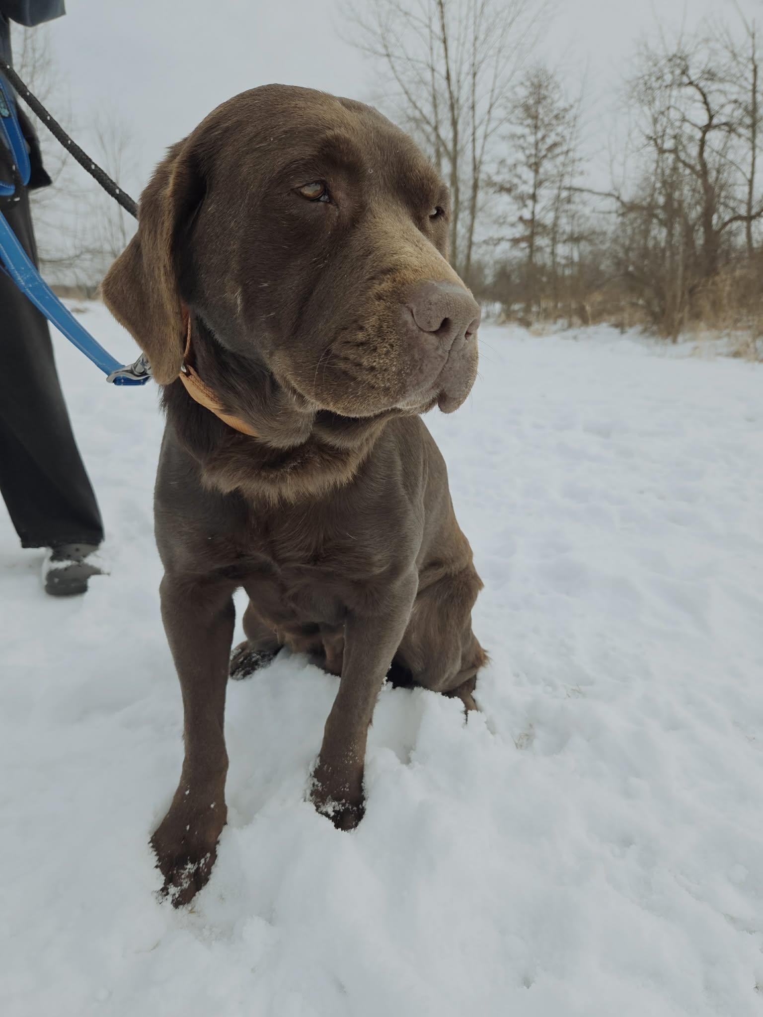 Willow Gracenot Accepting Applications