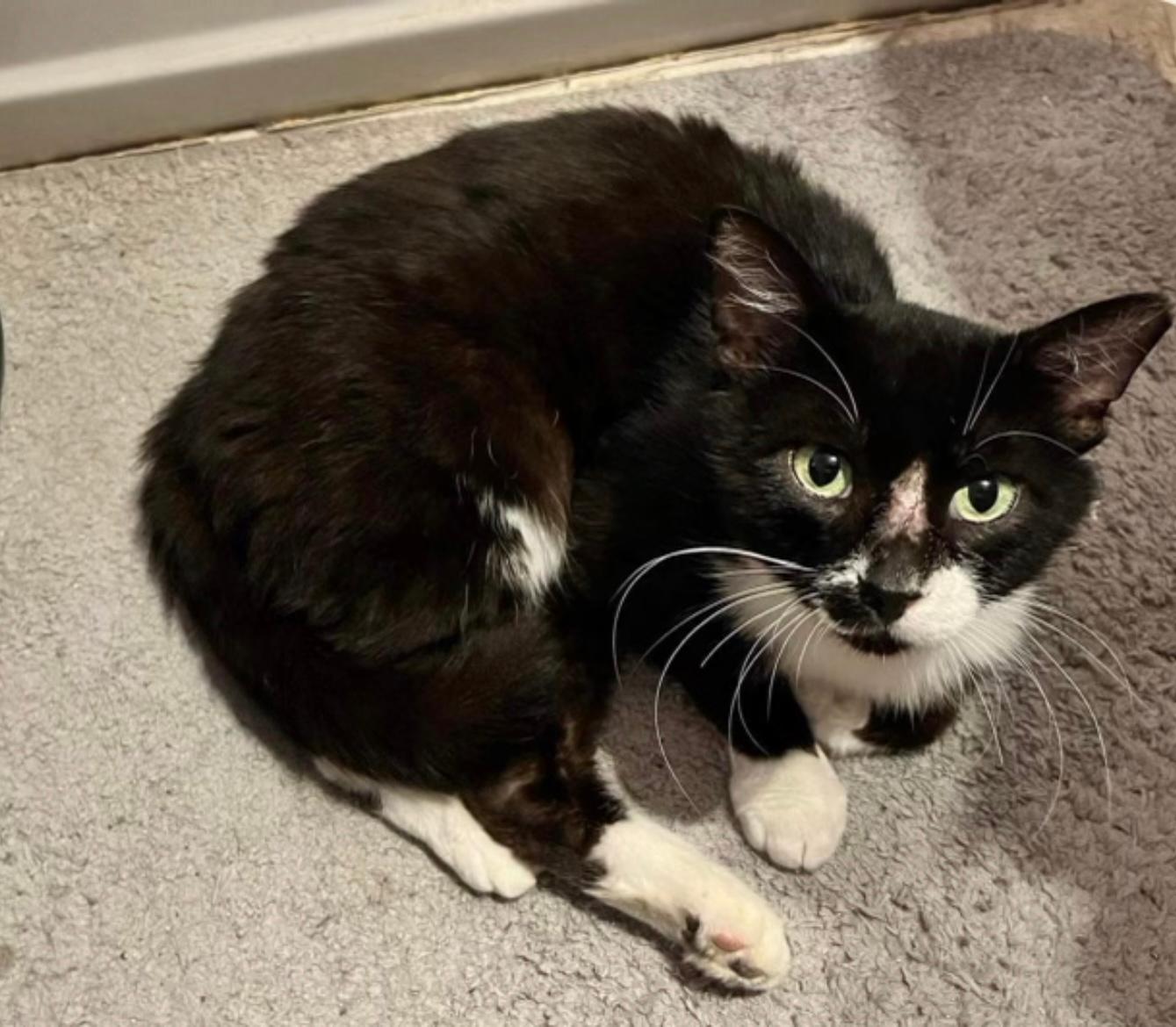 Wilburfelv+ And Fiv+