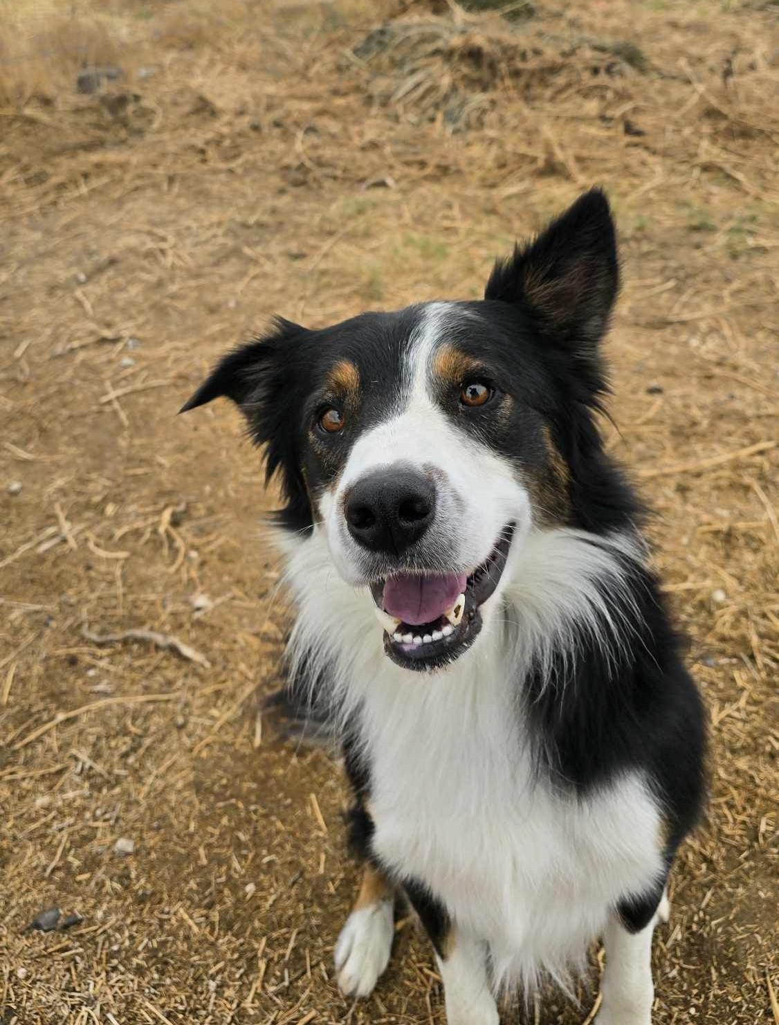 Vault: Currently In The