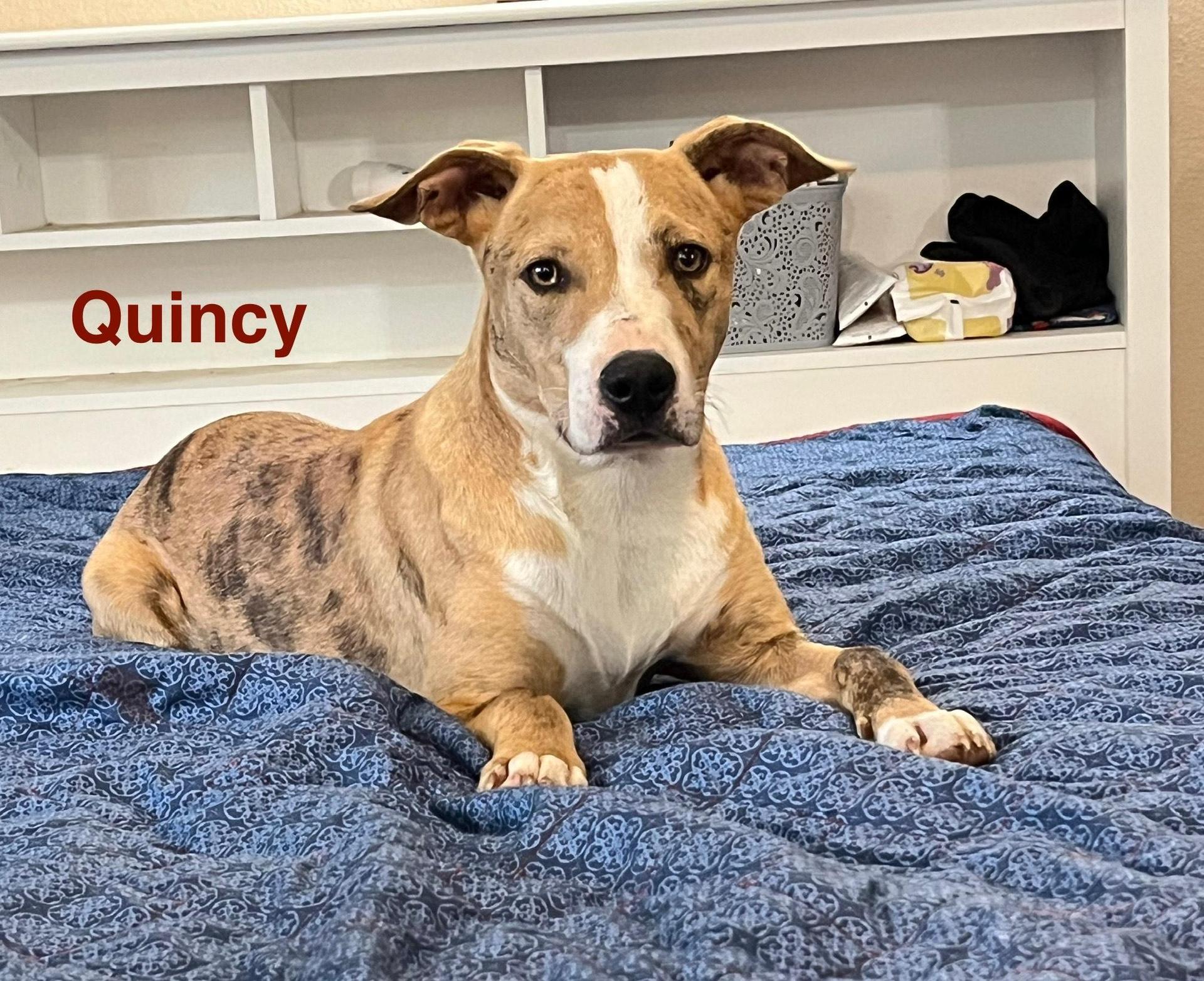 Quincy