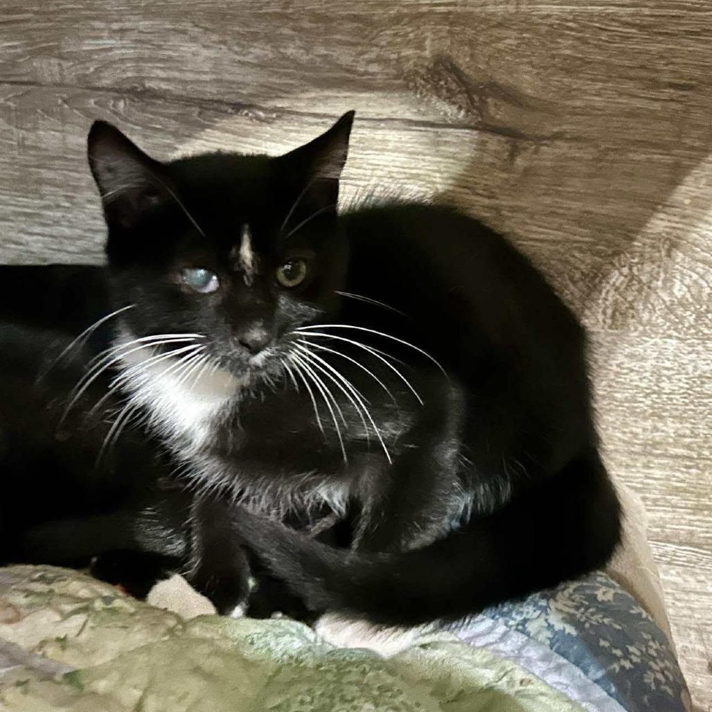 Trevor Travis Miller