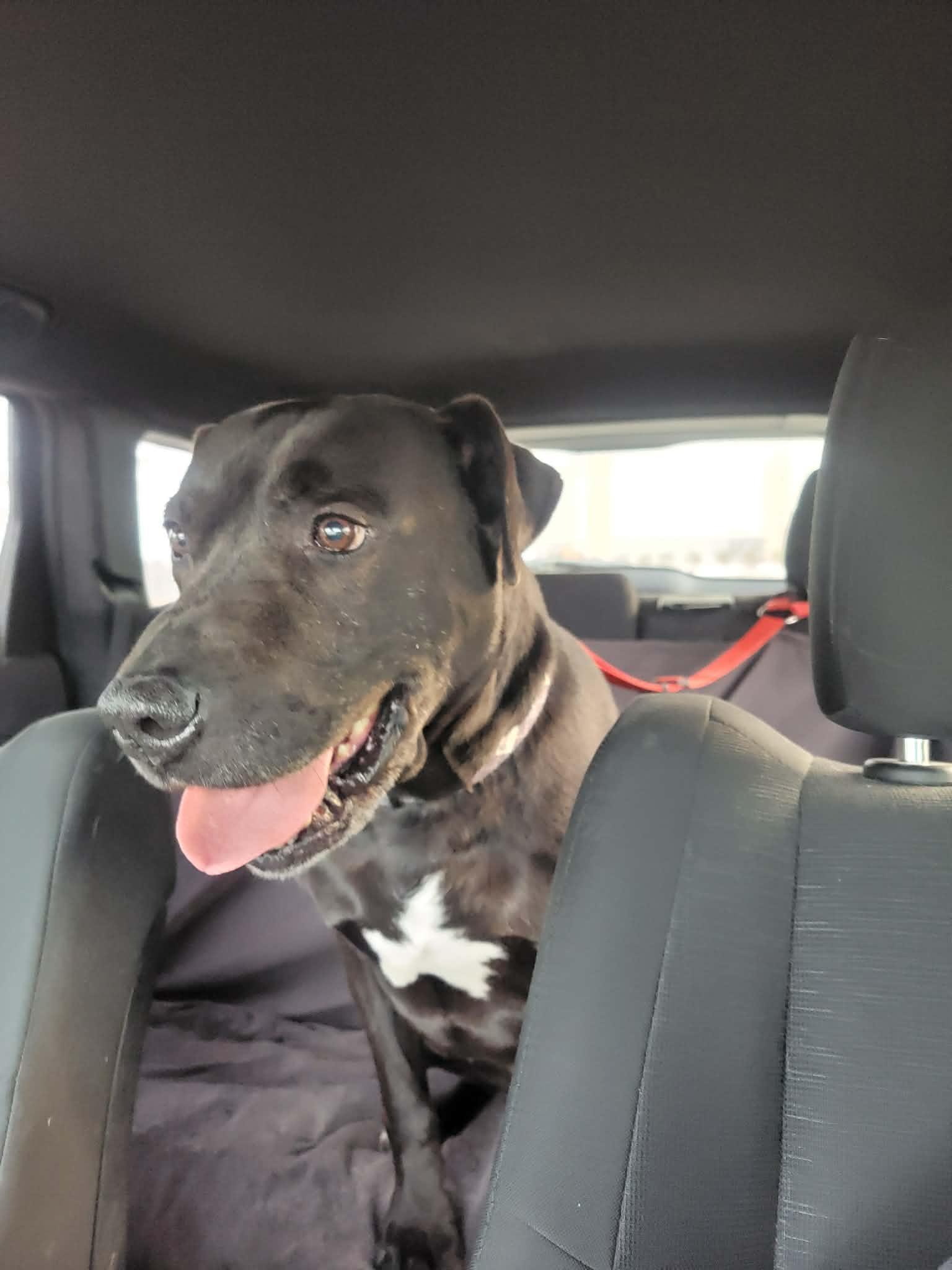 Maximusnot Accepting Applications Yet!