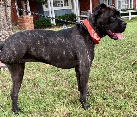 Mandi Sue “baby”