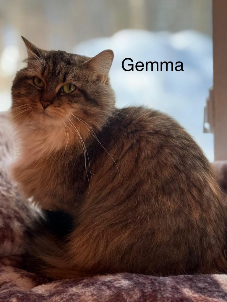 Gemma
