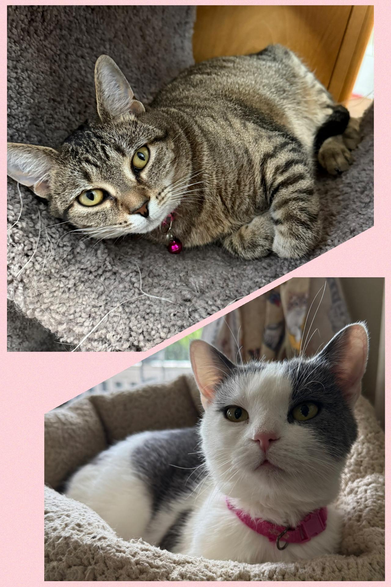 Sasha & Helga Petaki