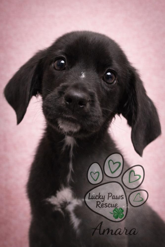 Supernatural Crew photo 1