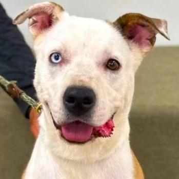 Lunaa Wonderful Girl