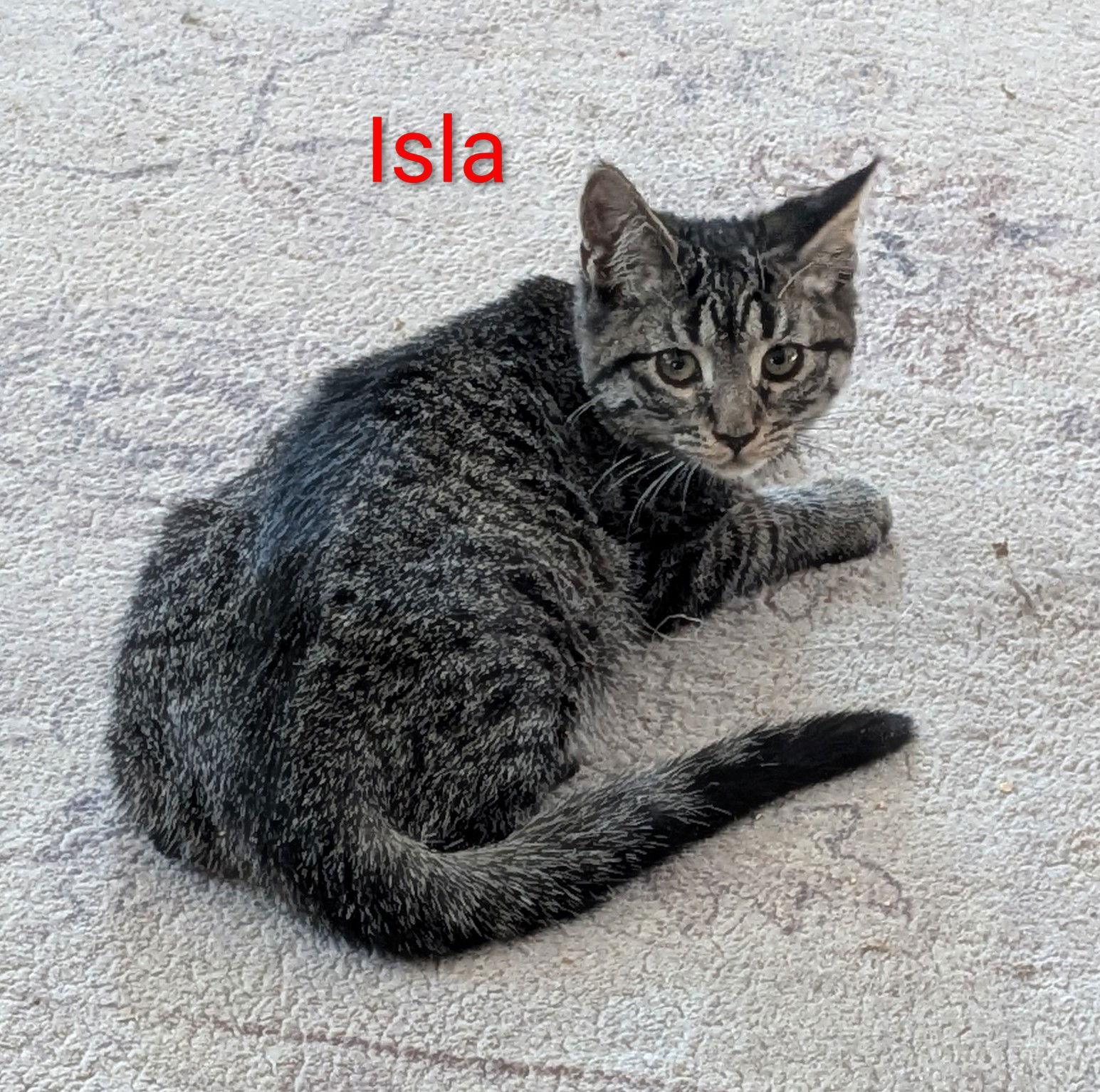 Isla