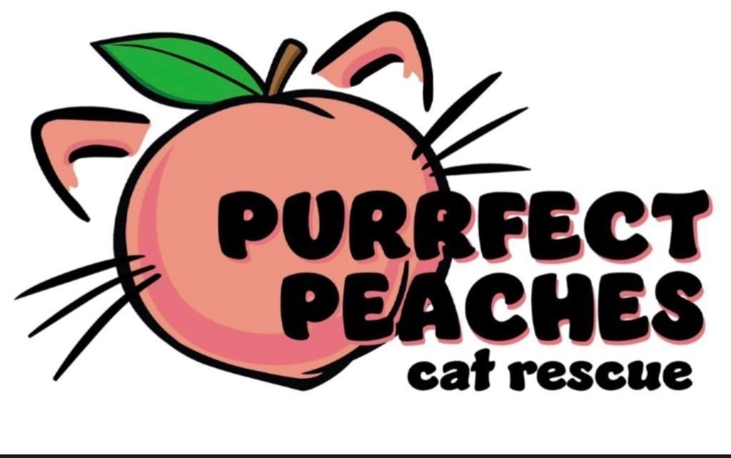 Viscountess Kathani Bridgerton