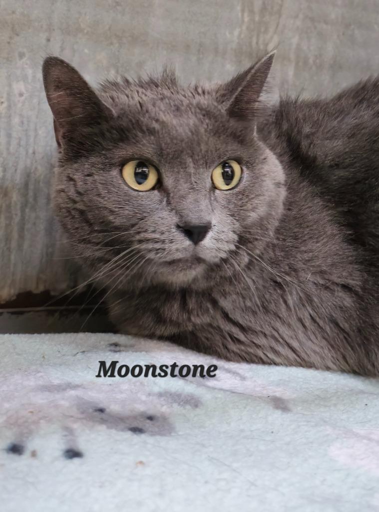 Moonstone