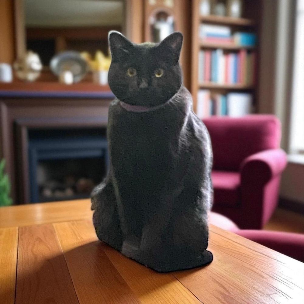 An adult small-sized female Black Domestic Short Hair cat named Dr. Pepper for adoption in Blanchard, OK