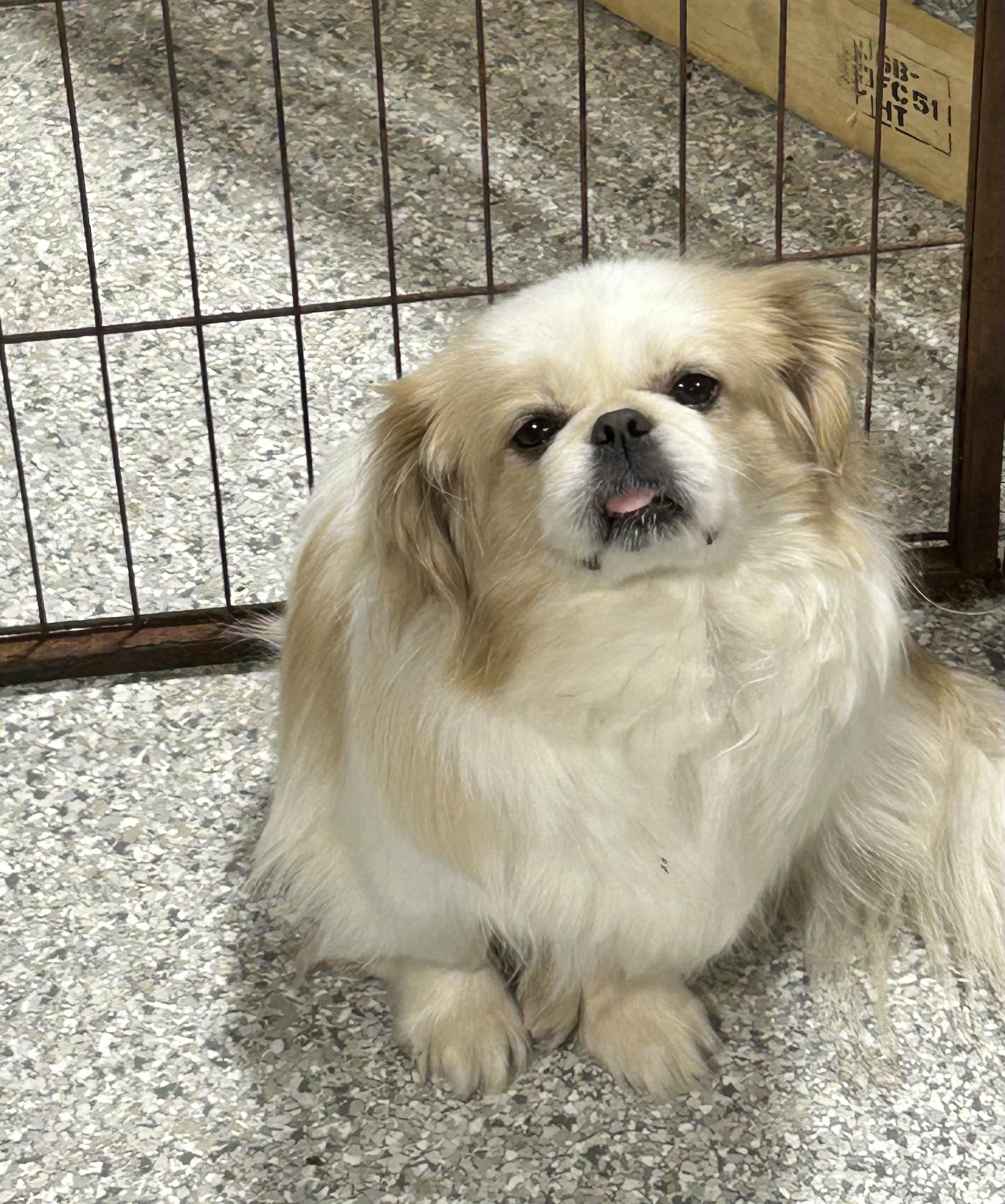 Gwen. Super Friendly