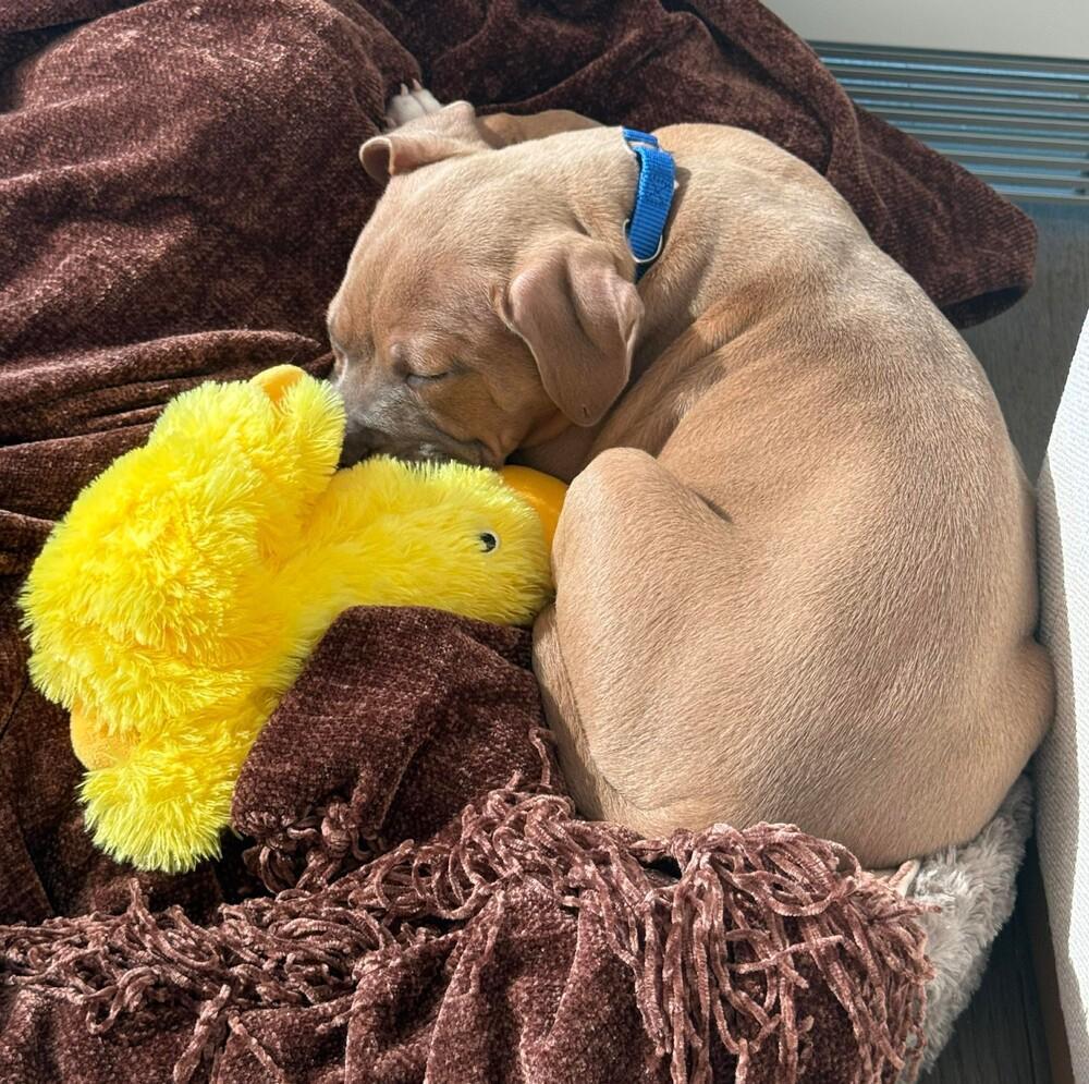 Miss Rou Who photo 1