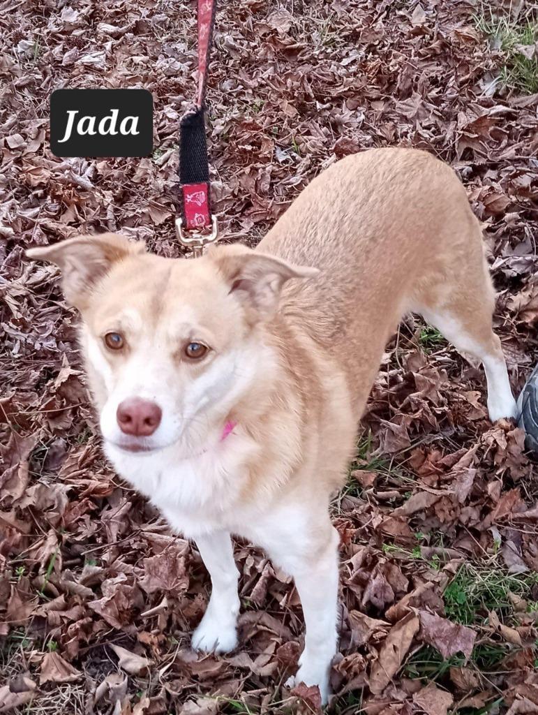 Jada