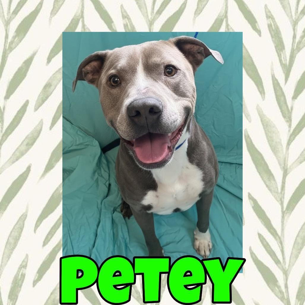 Petey