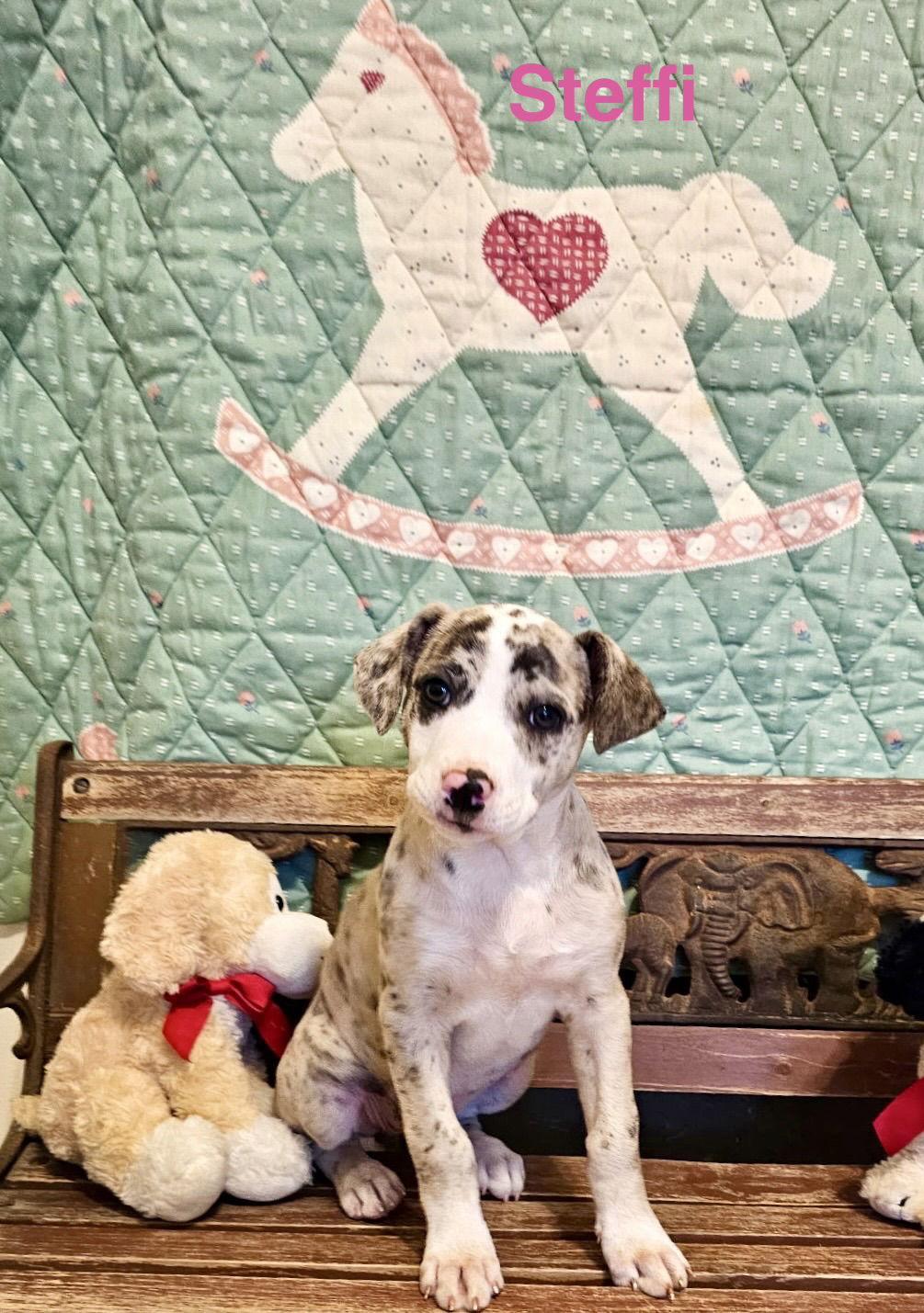 Steffi Graff Lonestar