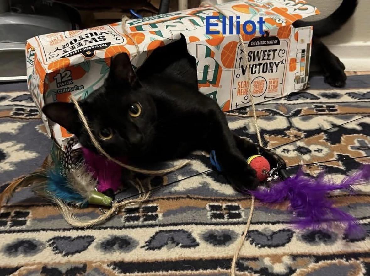 Elliot