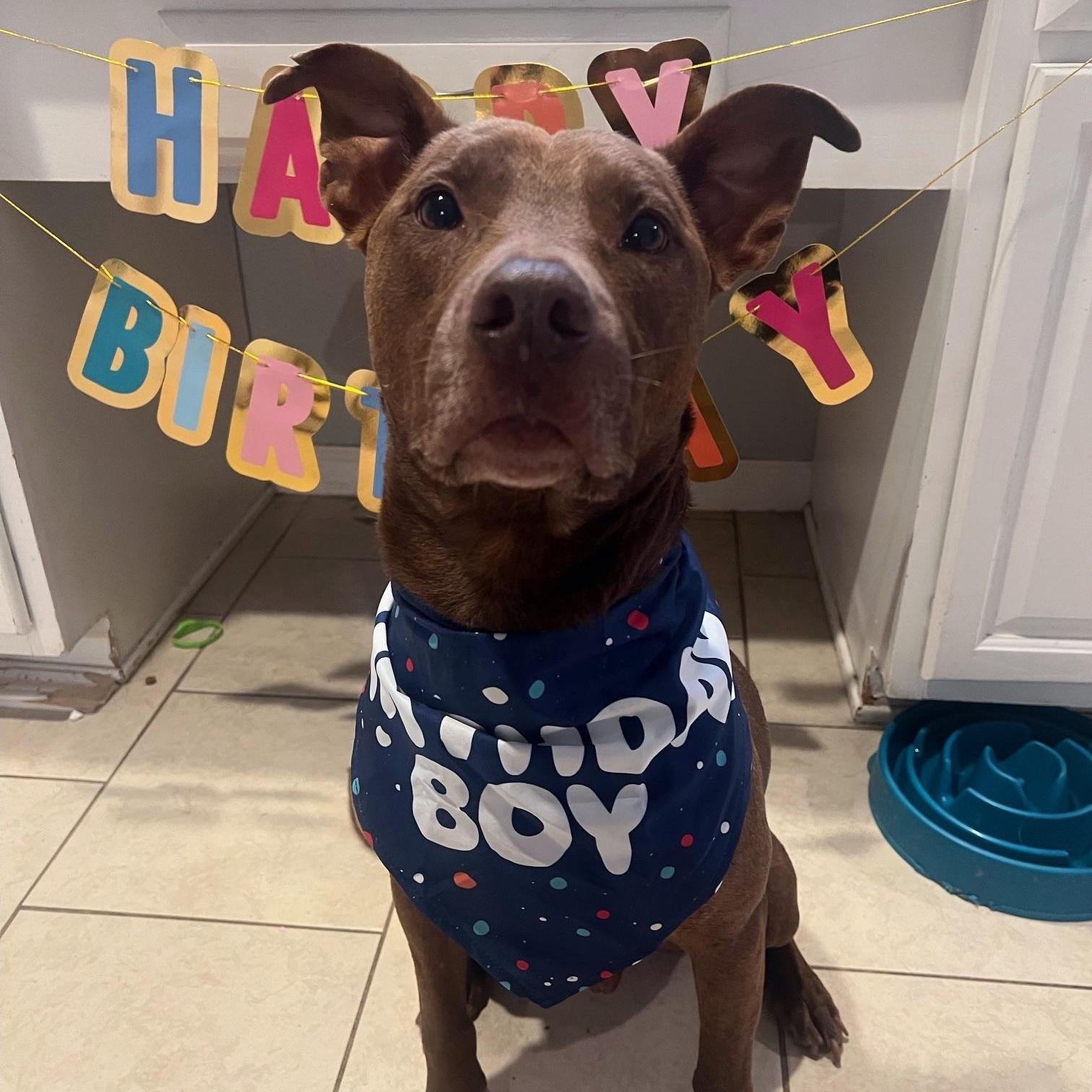 Charlie A Sweet photo 1