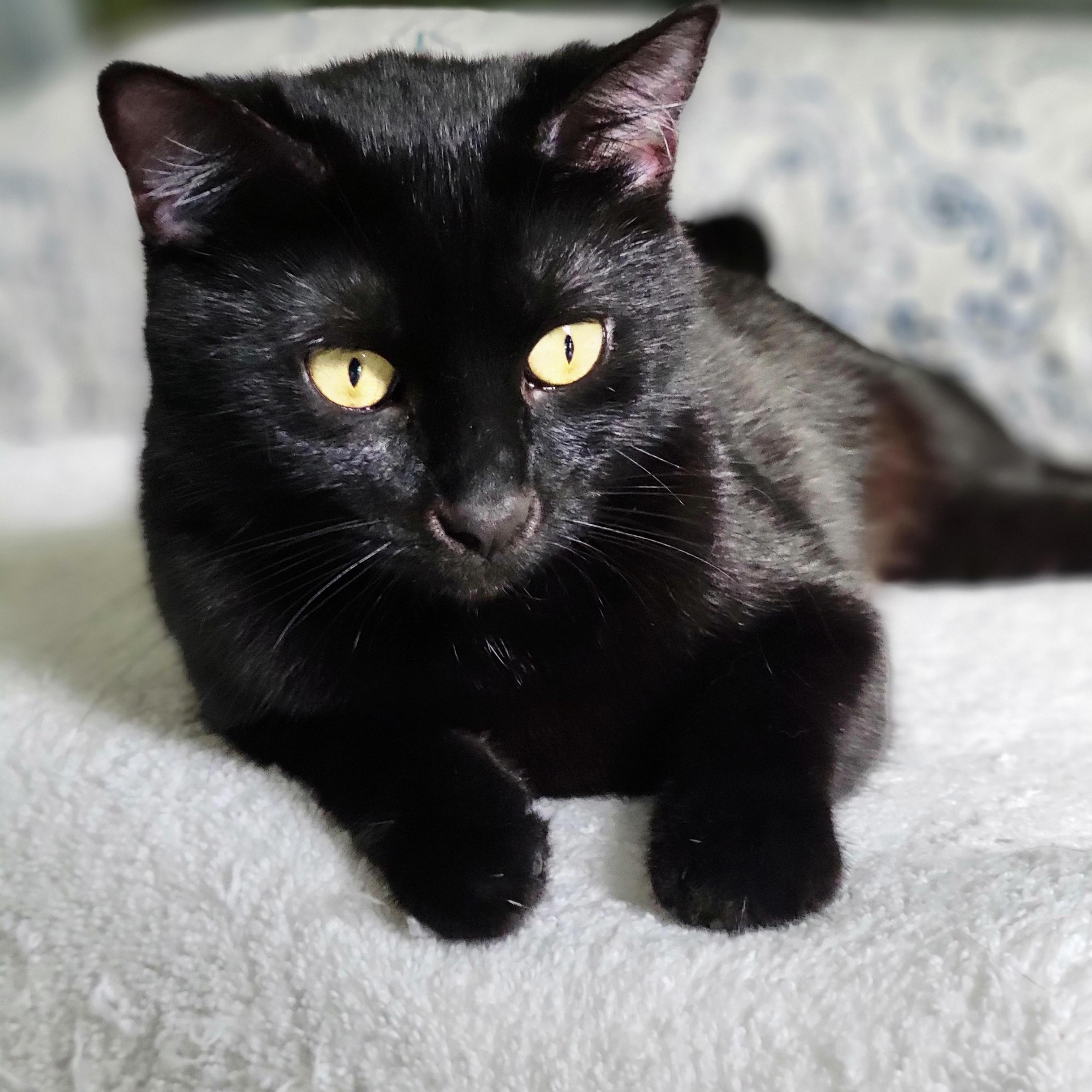 Mama Kaya Bonded With