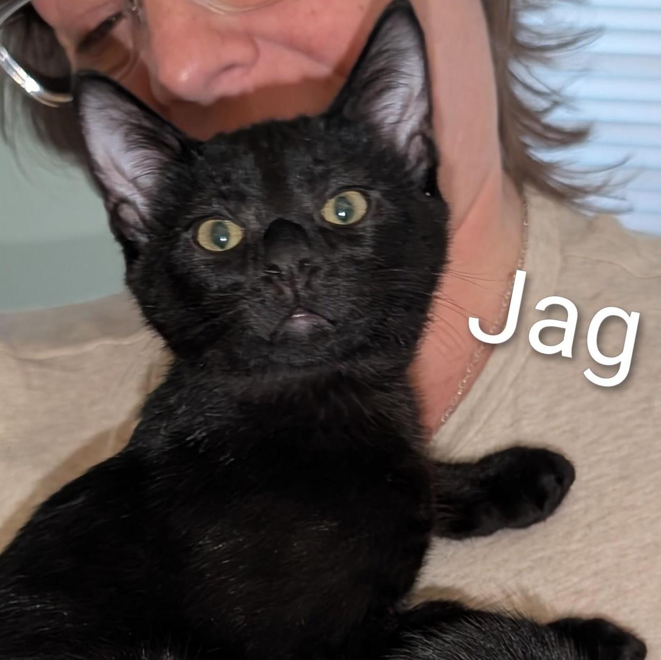 Jag