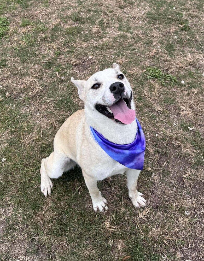 Winter A 💜 🇨🇦