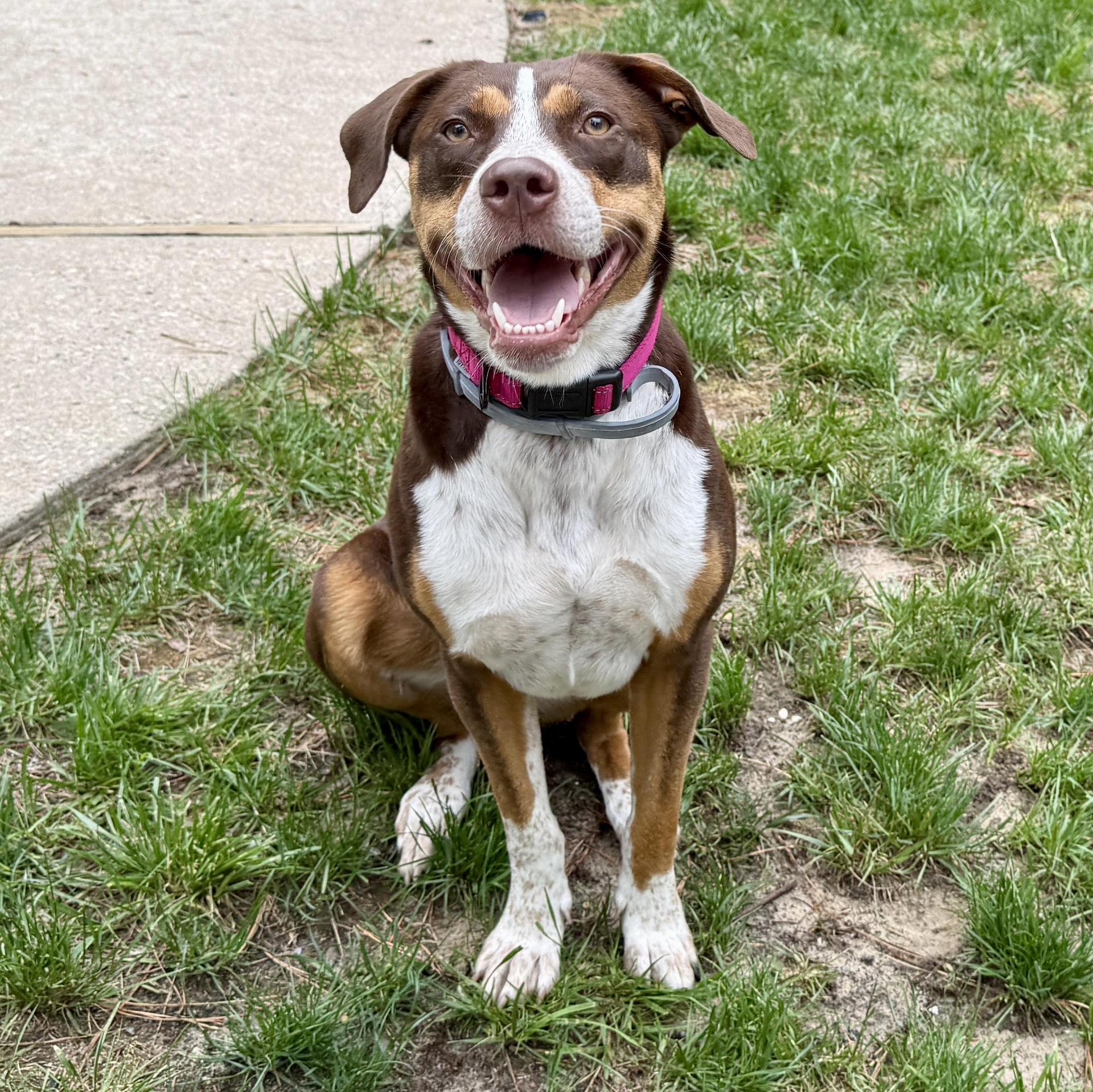 Molly