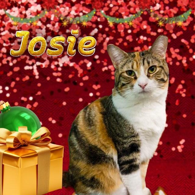 Josie