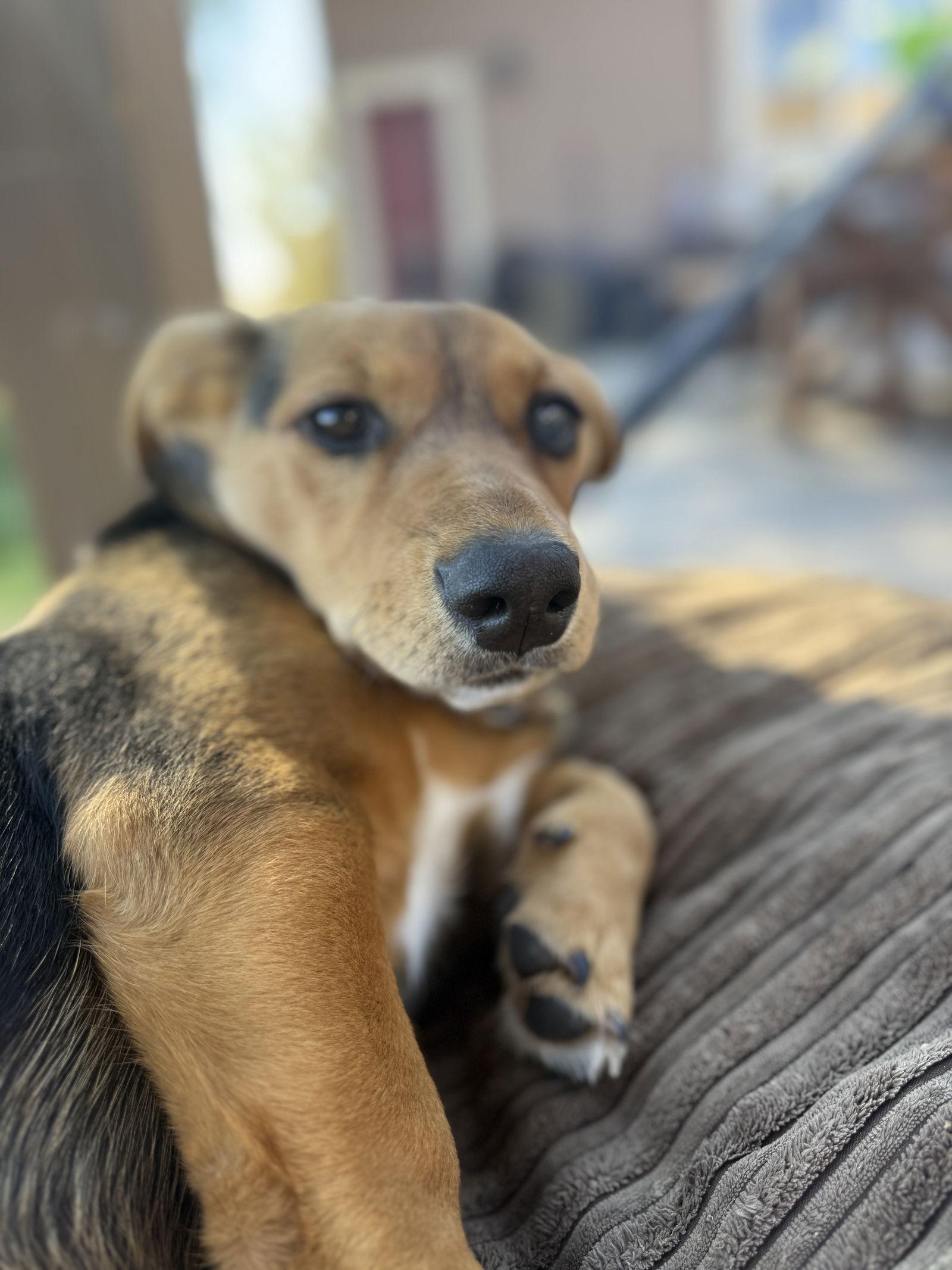 Bubbles Because Of Her