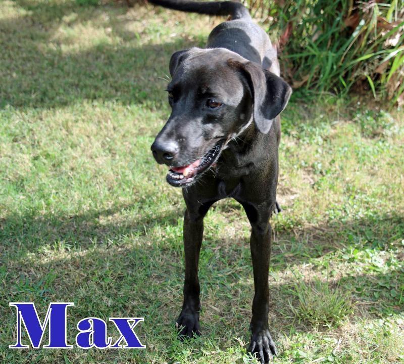 Max