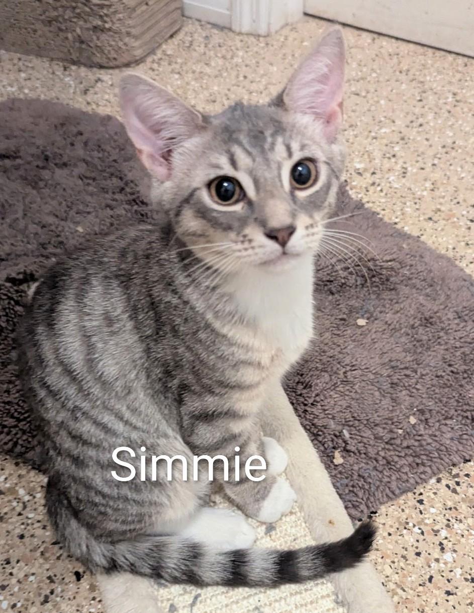 Simmie