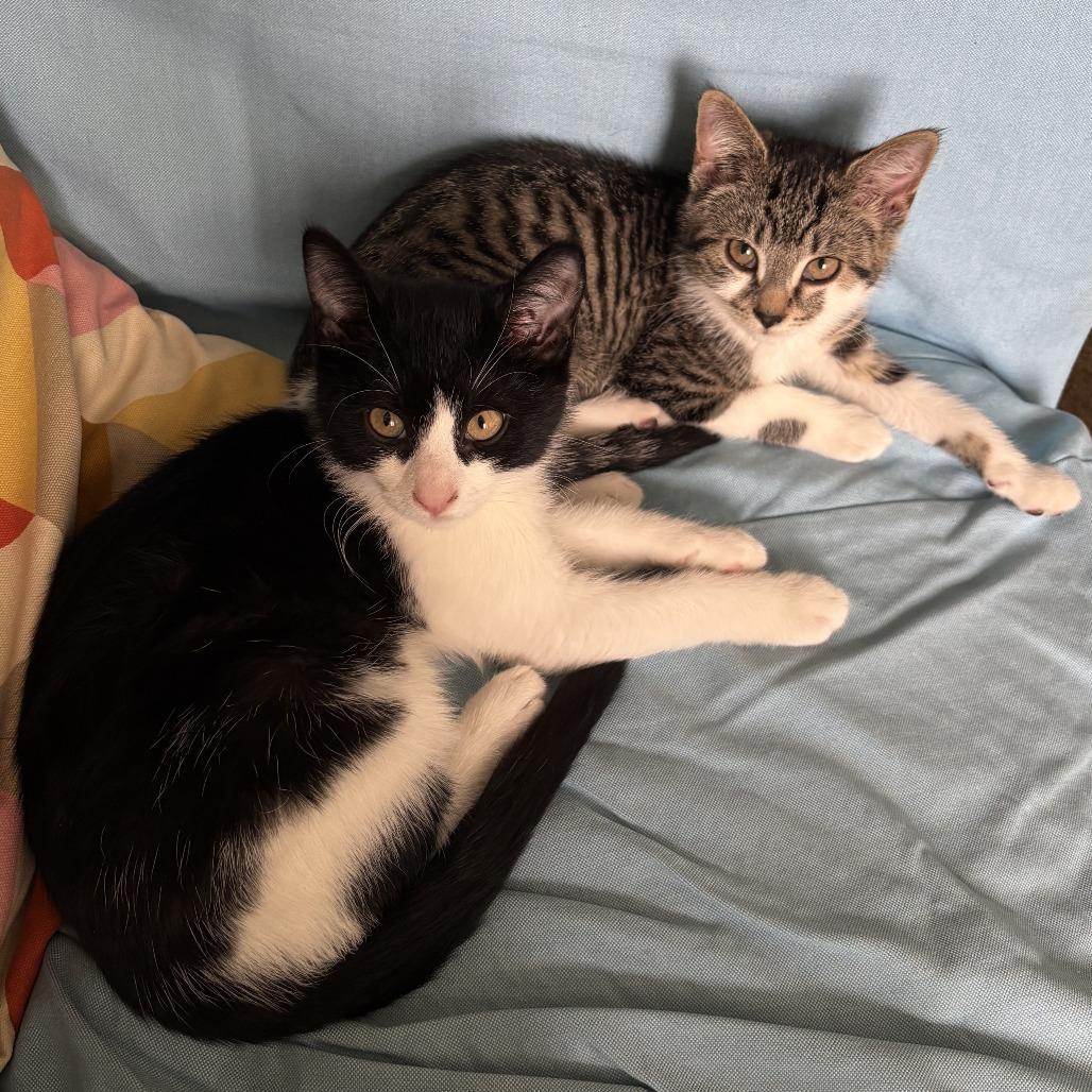 Theo And Celine Bonded