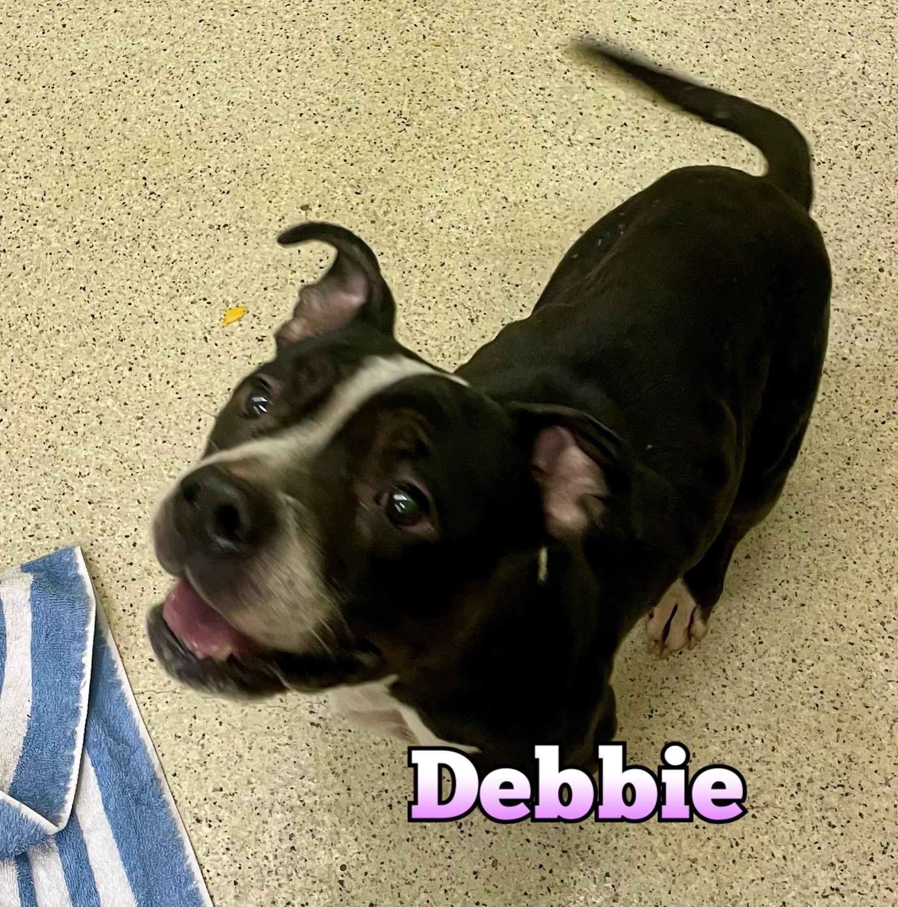 Debbie